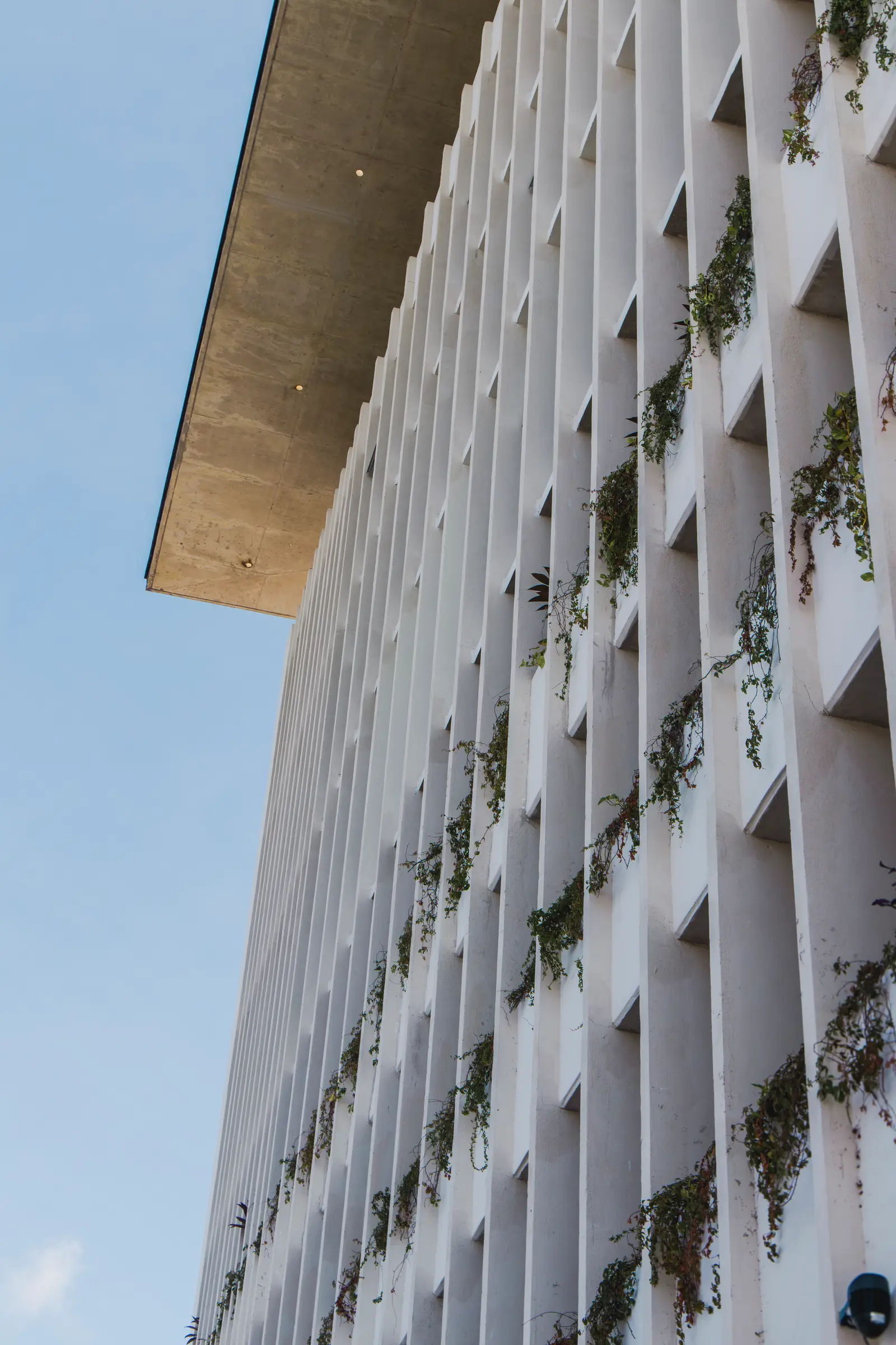 Fachada de edificio con jardineras